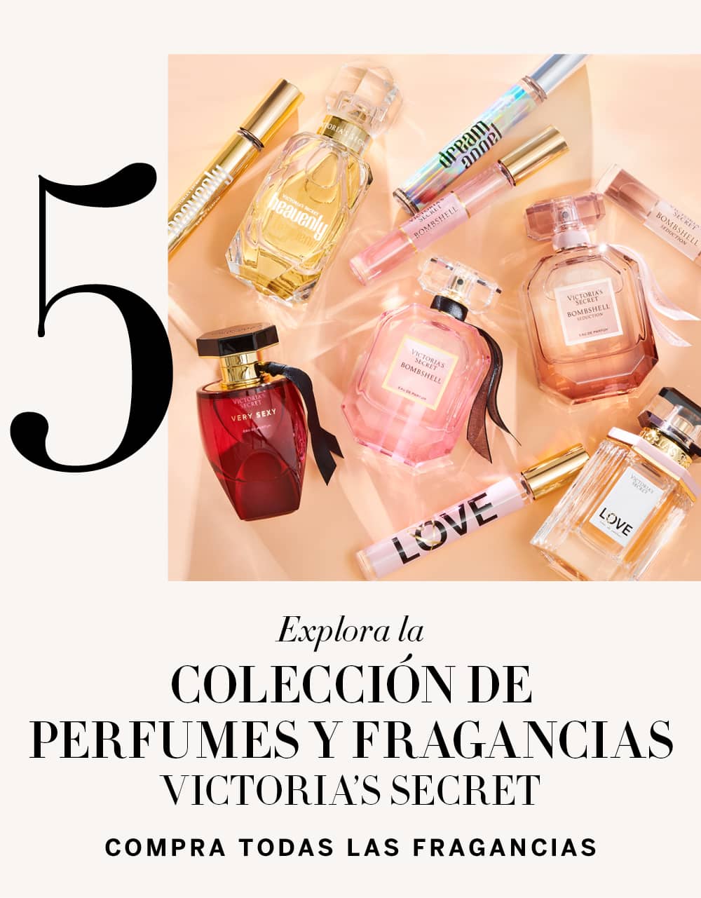 5 EXPLORA LA COLECCIÓN