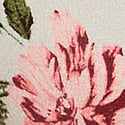 Fall Roses